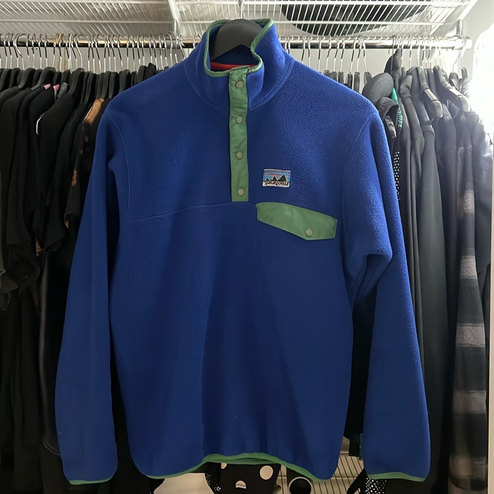 Patagonia Fleece Pull Over Blue/Green Mens Small
